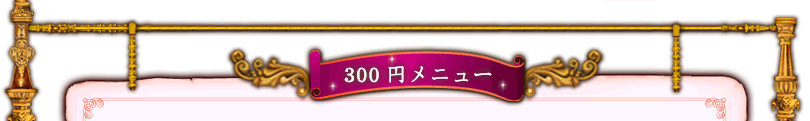 300円メニュー