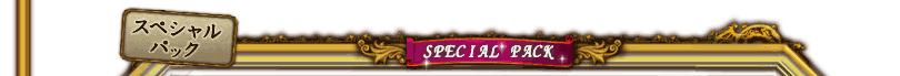 スペシャルパック
SPECIAL PACK